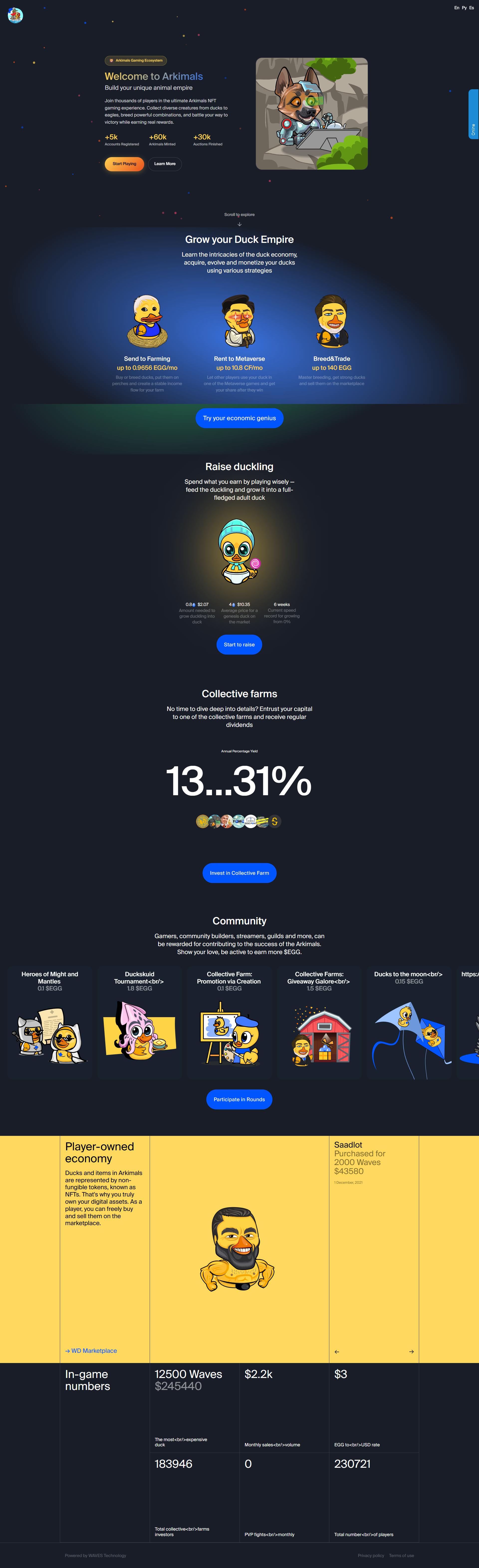Web Project K